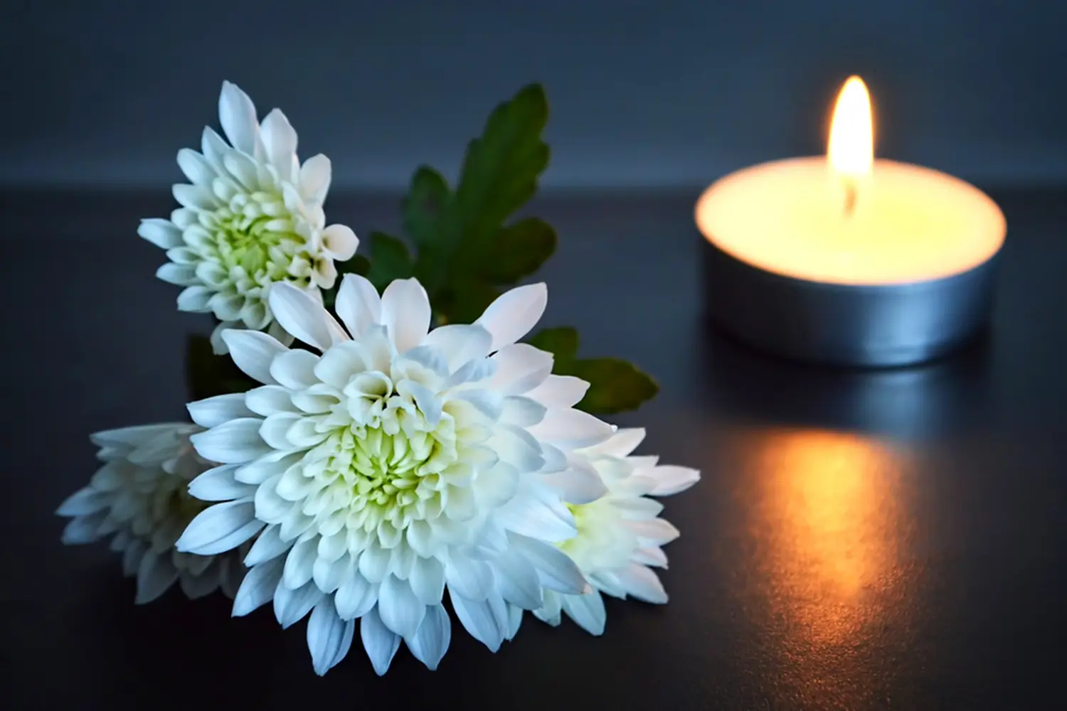 Petra Pfützner - weiße Blumen